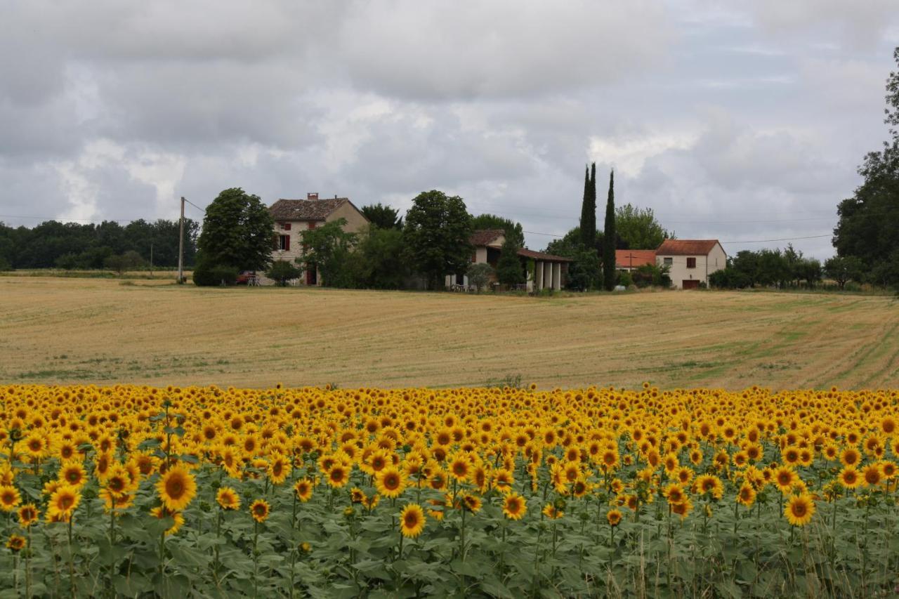 Domaine 3 Soleils Bed & Breakfast Labastide-de-Lévis Exterior photo